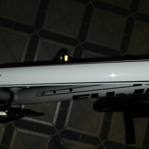 2016 Fuji White and Blue