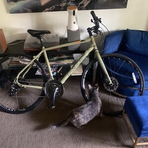 2021 KHS Bicycles VITAMIN B Green