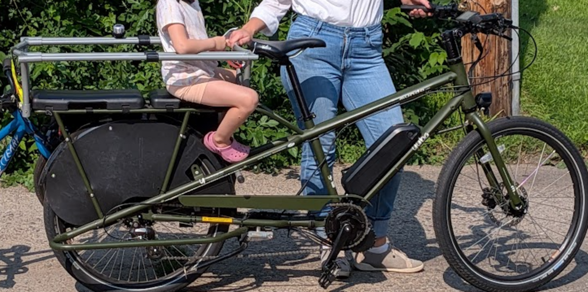 Cargo Bike Rear photo