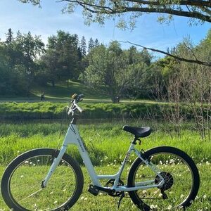 2020 Roll Bicycle Company Blue