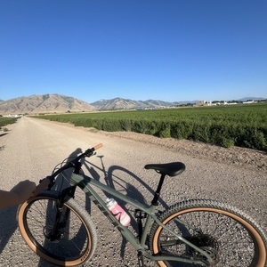 2025 Trek Marlin 7 3rd Gen Green