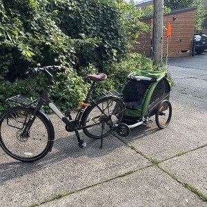 2021 Trek Verve 2 - Step Through Black
