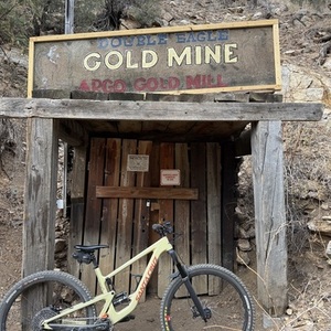 2019 Santa Cruz Hightower C Yellow or Gold, Orange, and Black