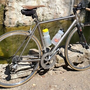 2007 Everti Phoenix Silver, gray or bare metal