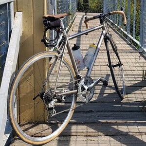 2007 Everti Phoenix Silver, gray or bare metal