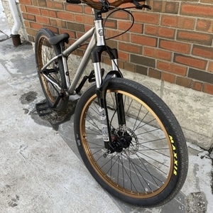 2012 Norco Bikes 250 Silver, gray or bare metal