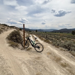2019 Orbea Rallon m-team Blue and Teal