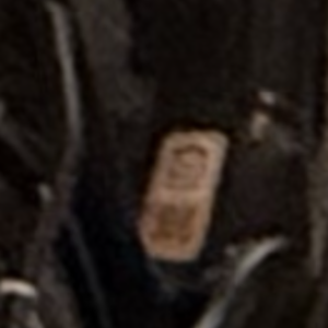 2023 Specialized Black