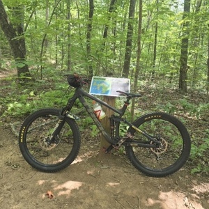 2019 Trek Remedy 8 Black