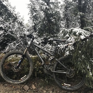 2006 Rocky Mountain Bicycles Slayer Silver, gray or bare metal