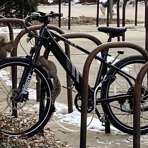 Lectric eBikes Xpress 750 Black