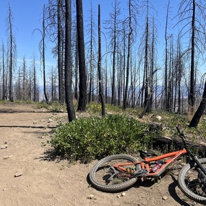 2021 Ibis Ripmo AF Orange