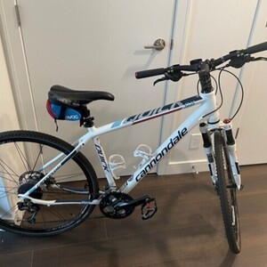 2014 Cannondale EN 14764 White, Blue, and Red