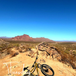 2023 REI Co-op DRT 1.2 Green