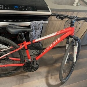 2016 Specialized ISO 4210-2:2014 Pink and White