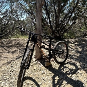 2025 Polygon Collosus DH7 Black and Yellow or Gold