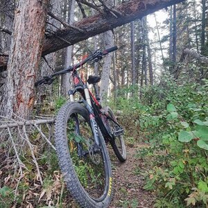 2017 SCOTT 740 Black and Red