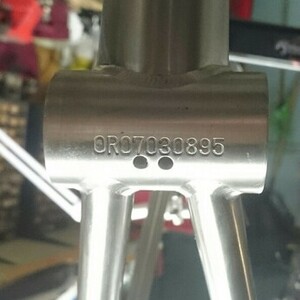 2007 Everti Phoenix Silver, gray or bare metal