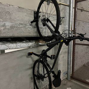 2025 Giant Silver, gray or bare metal