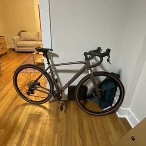 2024 Trek ALR Checkpoint Silver, gray or bare metal