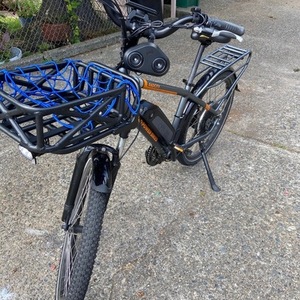 2020 Rad Power Bikes Rad City Silver, gray or bare metal