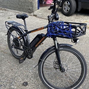 2020 Rad Power Bikes Rad City Silver, gray or bare metal