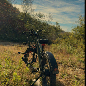 2025 Retrospec Koa Rev 2