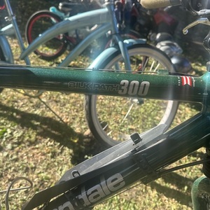 Cannondale Silk Path 300 Green