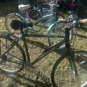 Cannondale Silk Path 300 Green