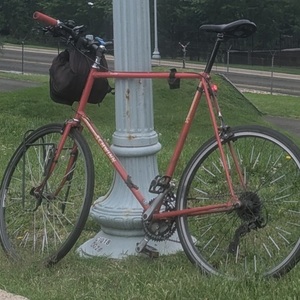 Schwinn Traveler Red