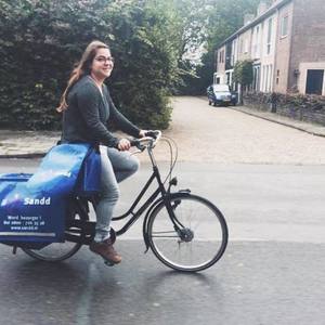 Gazelle maxinette Blue