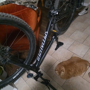 Specialized Fuse I Black