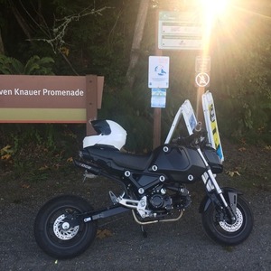 2022 Honda Grom Black and Silver, gray or bare metal