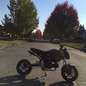 2022 Honda Grom Black and Silver, gray or bare metal
