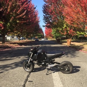 2022 Honda Grom Black and Silver, gray or bare metal