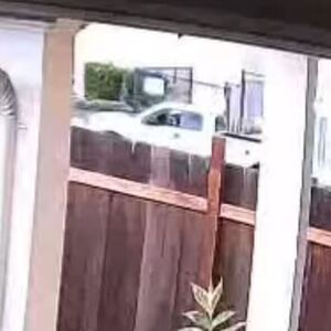 2022 Honda Grom Black and Silver, gray or bare metal