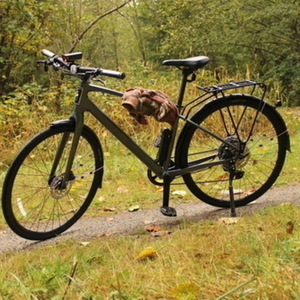 2025 Trek FX 3 Silver, gray or bare metal