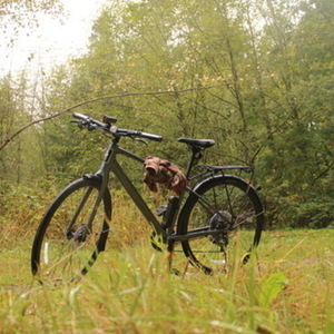 2025 Trek FX 3 Silver, gray or bare metal