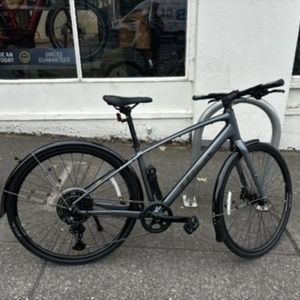 2025 Trek FX 3 Silver, gray or bare metal
