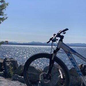 Trek alpha silver aluminum Silver, gray or bare metal and Blue