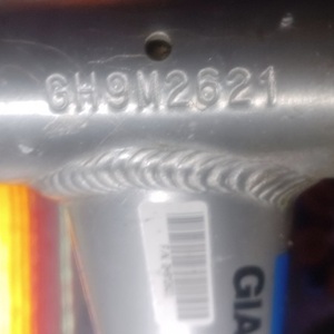 Giant Yukon (Brushed/Blue) Silver, gray or bare metal