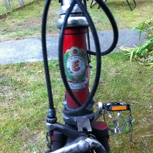 1996 FW Evans Red