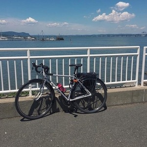 2017 All City Spacehorse Silver or Gray