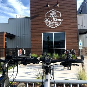 2021 Trek Dual Sport 3 Silver, gray or bare metal