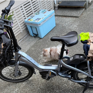 2025 Tern Nbd p8i Silver, gray or bare metal