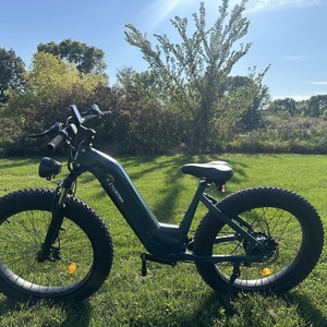 2025 Cycrown Cycverve Green