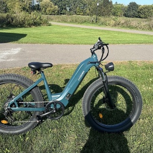 2025 Cycrown Cycverve Green