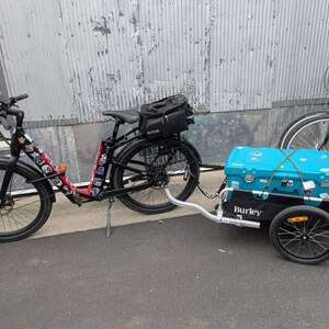 2023 Niu BQI c3 pro Red and Black