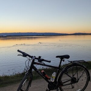 2025 Trek FX-3 Black