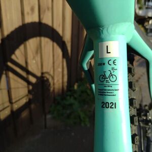 2021 Trek Powerfly 4 Silver, gray or bare metal and Green